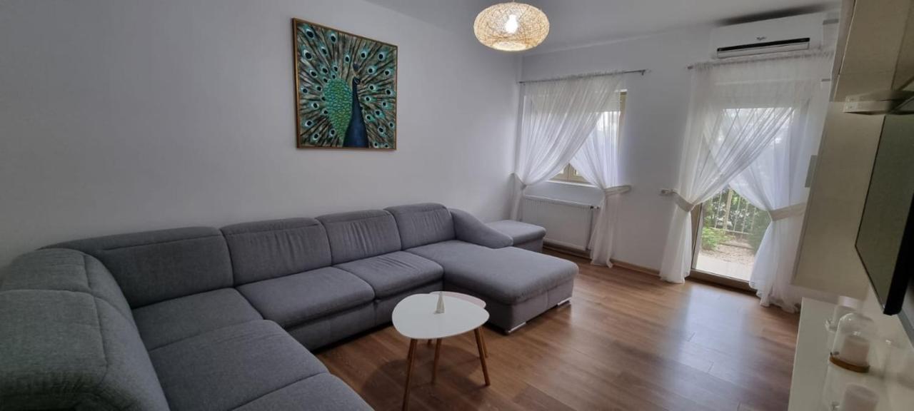 Sasu Apartment Timisoara Esterno foto