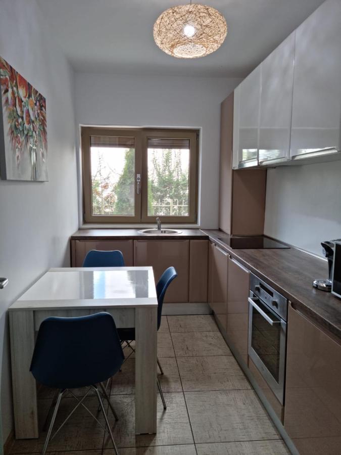Sasu Apartment Timisoara Esterno foto