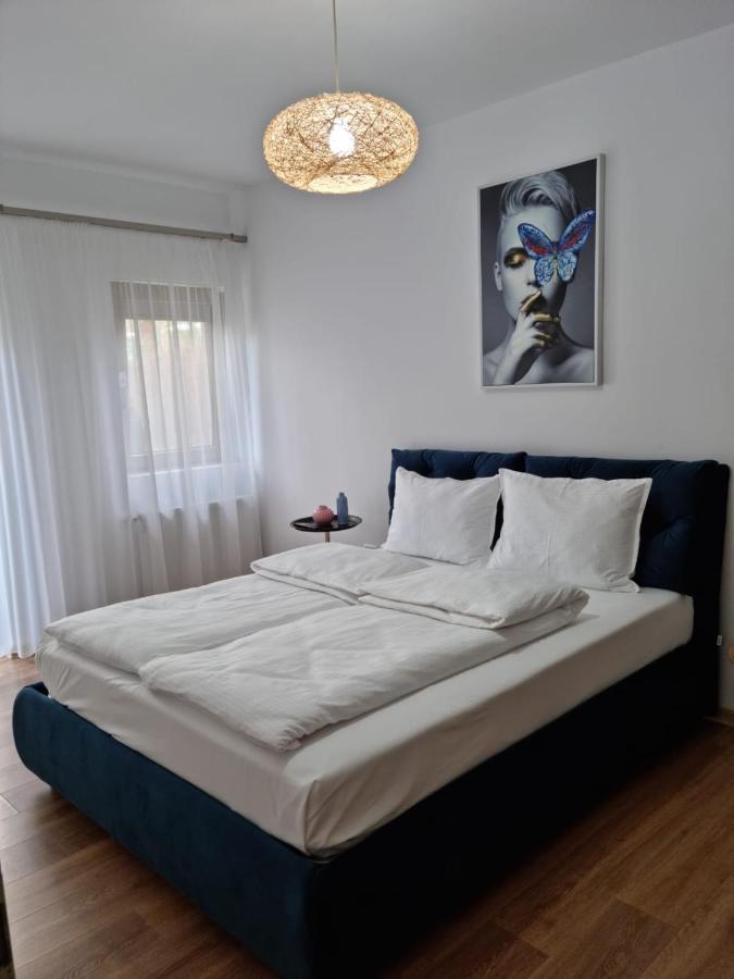 Sasu Apartment Timisoara Esterno foto