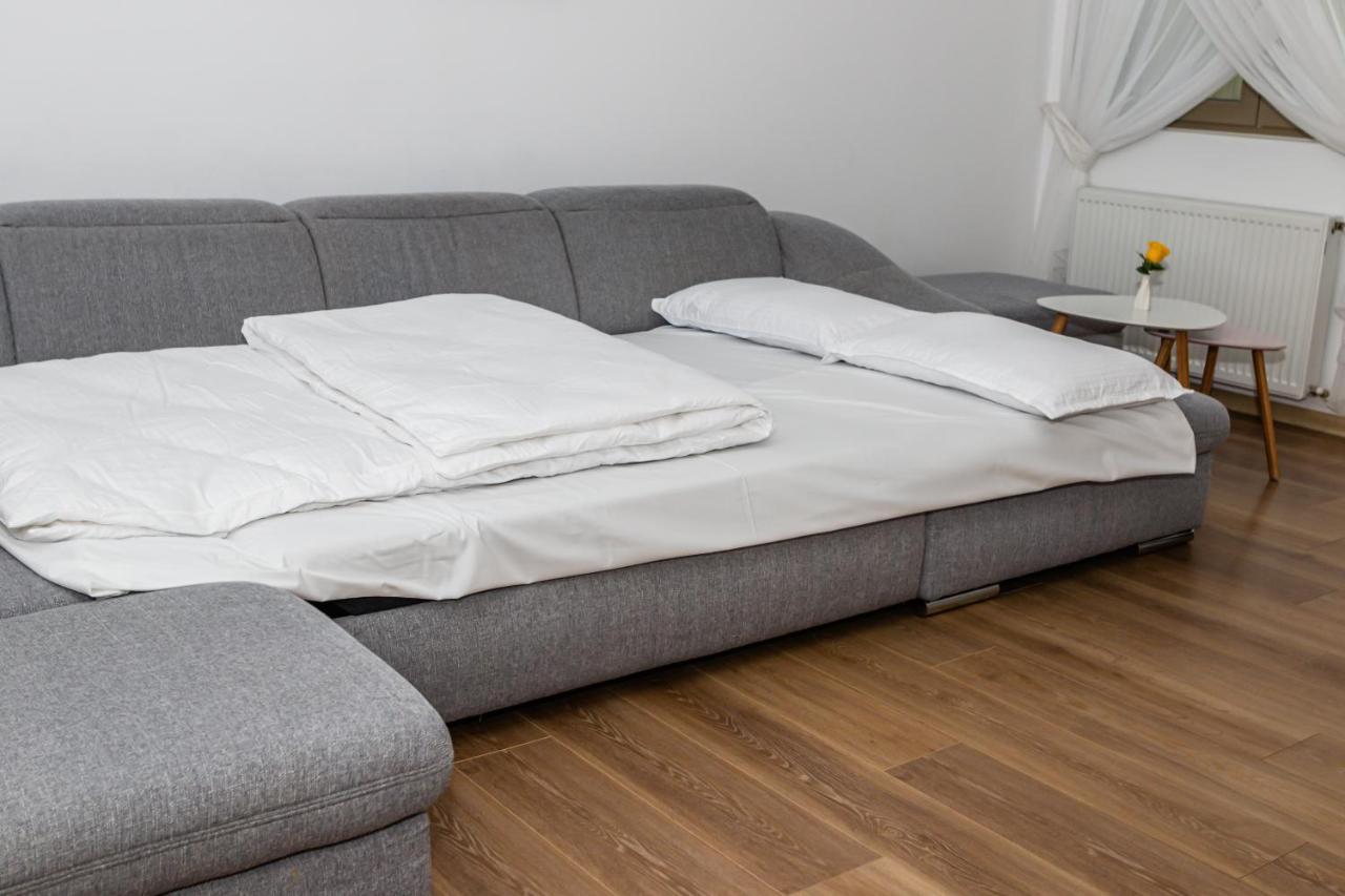 Sasu Apartment Timisoara Esterno foto