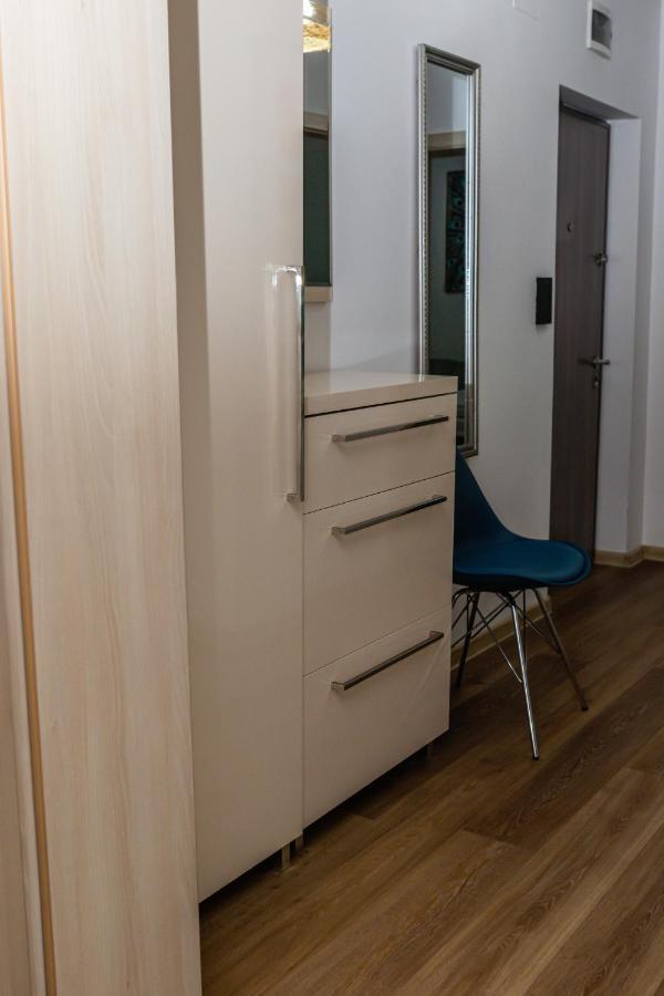 Sasu Apartment Timisoara Esterno foto